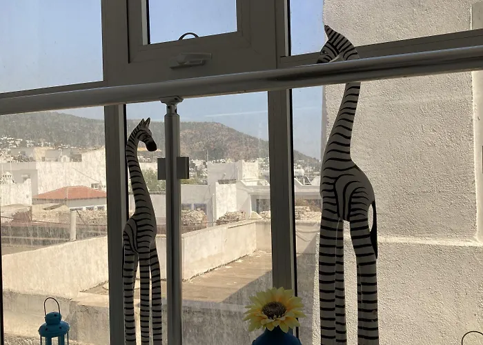 캔 호텔 호텔 Bodrum