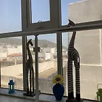 캔 호텔 호텔 Bodrum