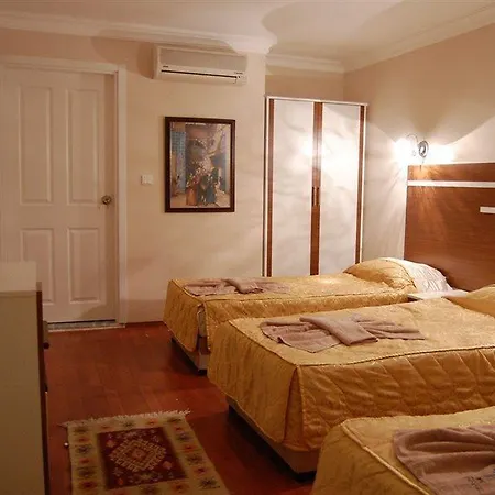 Ξενοδοχείο Can Hotel Αλικαρνασσός