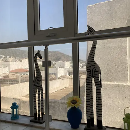 罐头旅馆 酒店 博德鲁姆